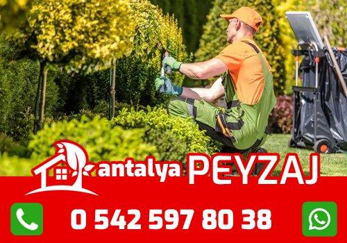Bitki Seçimi ve İklime Uygun Tasarım Önerileri