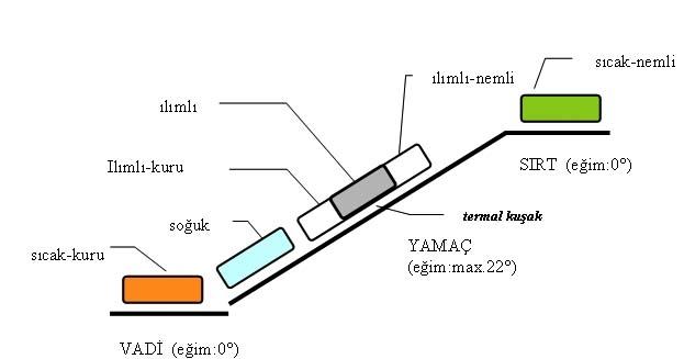 Antalya'nın İklim Koşullarına Uygun Malzeme ve Teknik Seçimleri